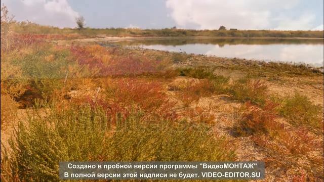 Просто красивые поля / видео с DJI Mavik Mini / как снимает камера / формат 2,7К (1440)