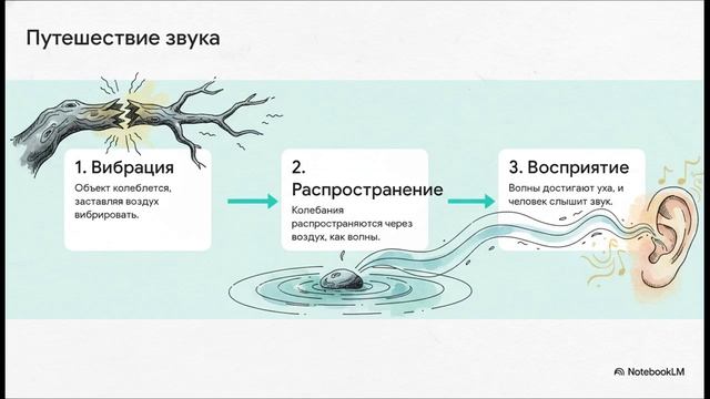 Что такое звук. Курс 1 
