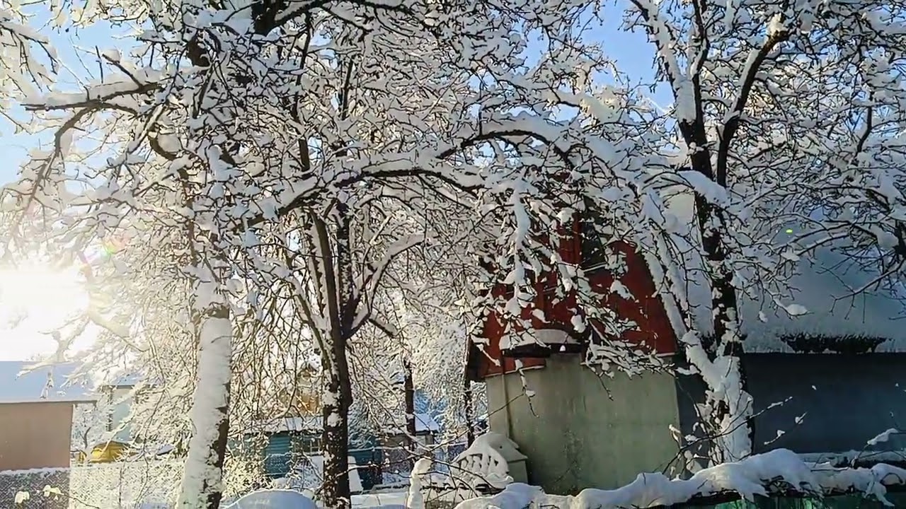 Солнечное зимнее утро на даче☃️❄2025.