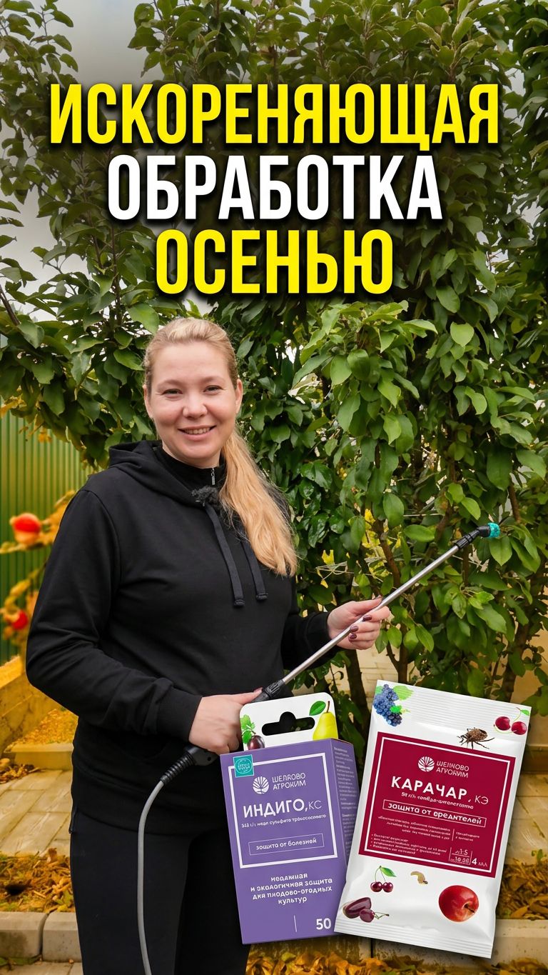 Сад без болезней весной сделайте эту обработку яблони осенью!