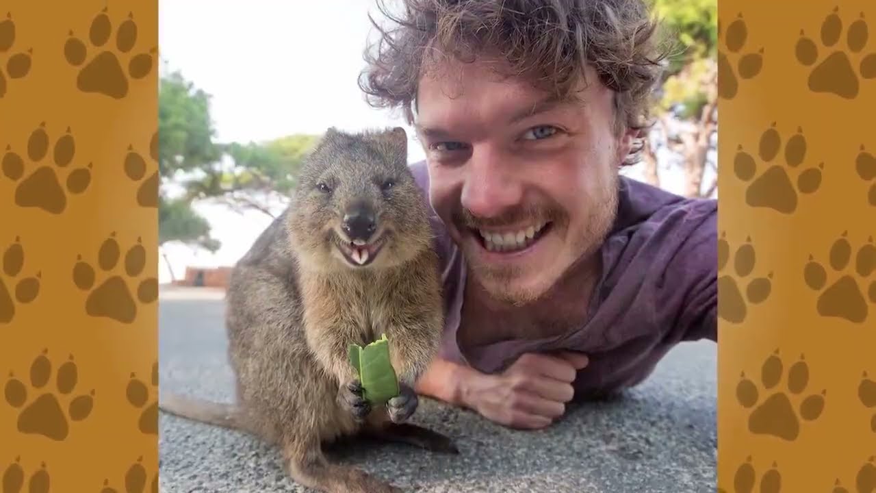 Самые милые и красивые животные/The Cutest Animals In The World#animals #interestingfacts #рек #rek