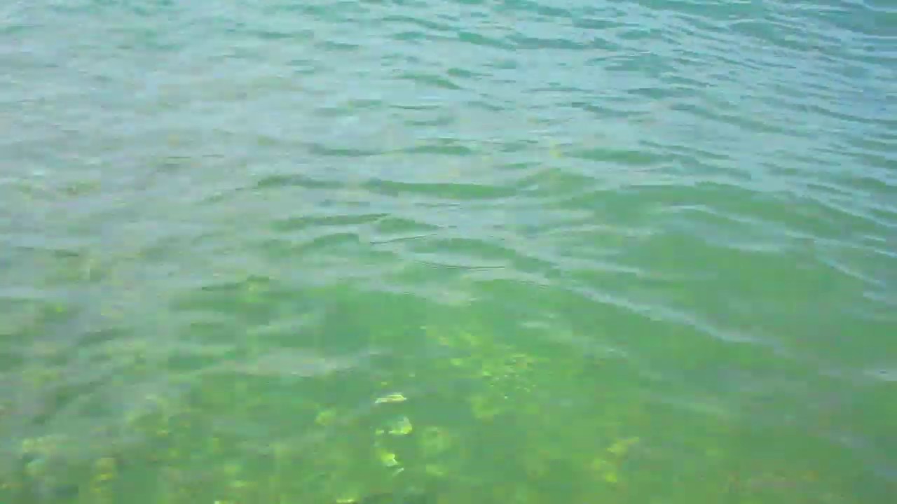 НЕЖНОЕ МОРЕ и Шум волн  КРАСИВО!  Звук ПРИБОЯ Для Сна и Релакса Dederkoy