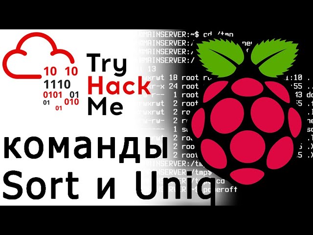 TryHackMe команды Sort и Uniq на Raspberry Pi