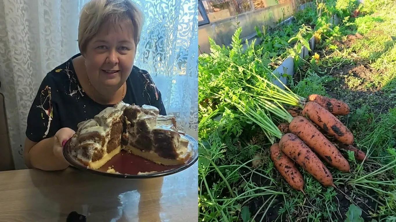 ⁣Записалась к врачу. Разговоры об Абдугани, домашний торт и большая уборка в саду перед холодами.
