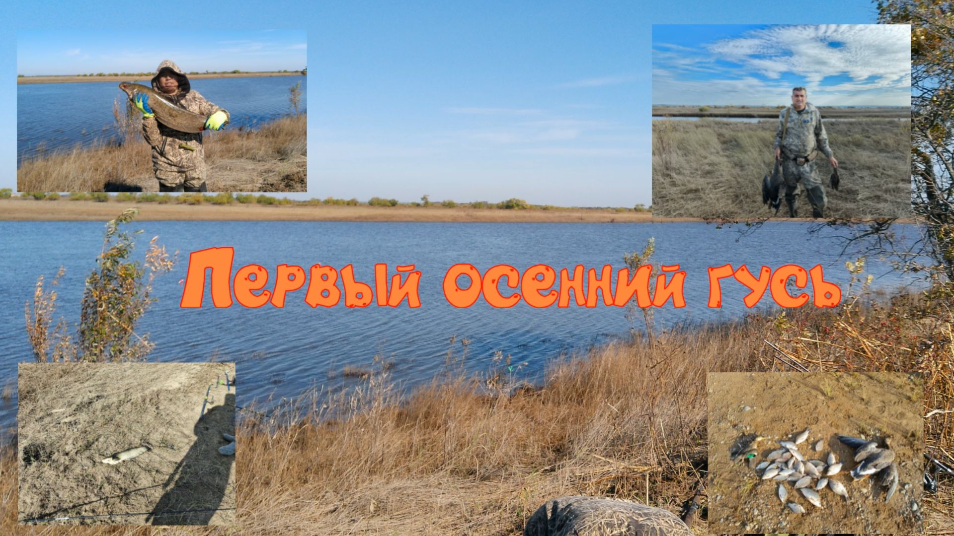 Охота на гуся, Ловим рыбу. залив Дектор 26.09.2026 г.