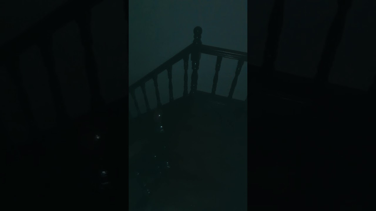 Страшные звуки ночью. #Shorts