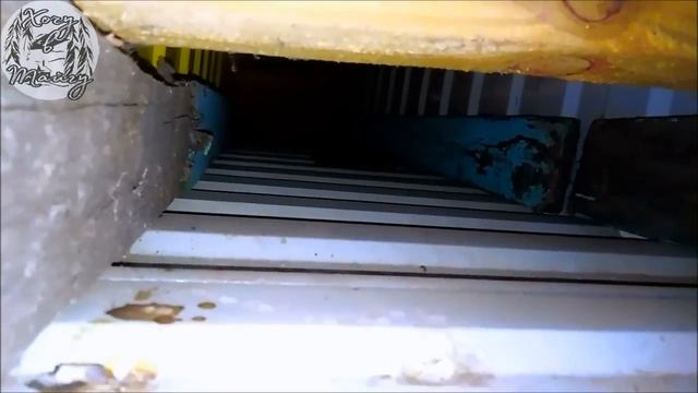 Трагедия деревнских ласточек