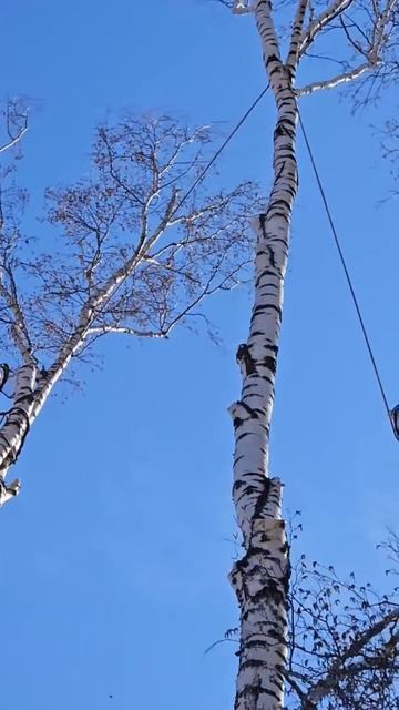 Счастье живет рядом с нами