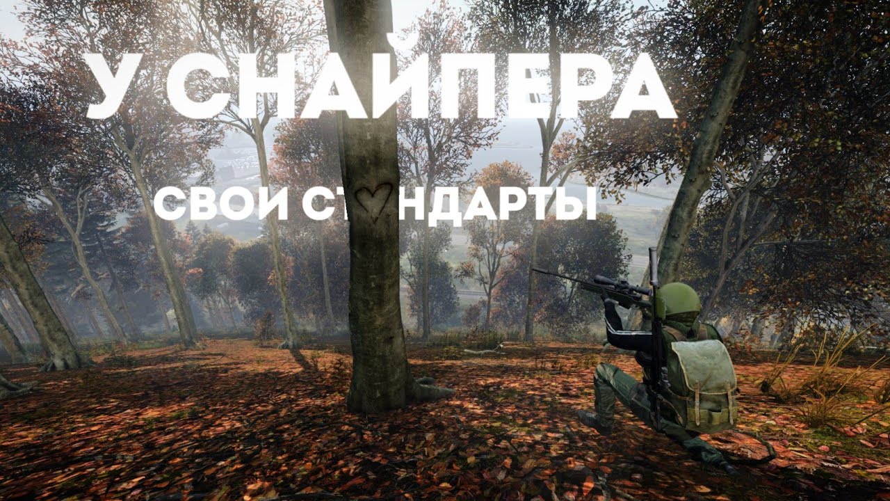 У снайпера свои стандарты. || Dayz DSS Server Chernarus || 1.14