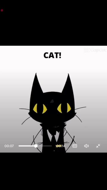 CAT!