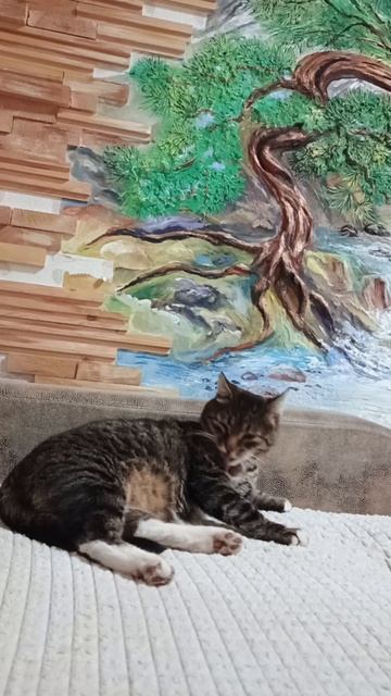 Утренние процедуры😊