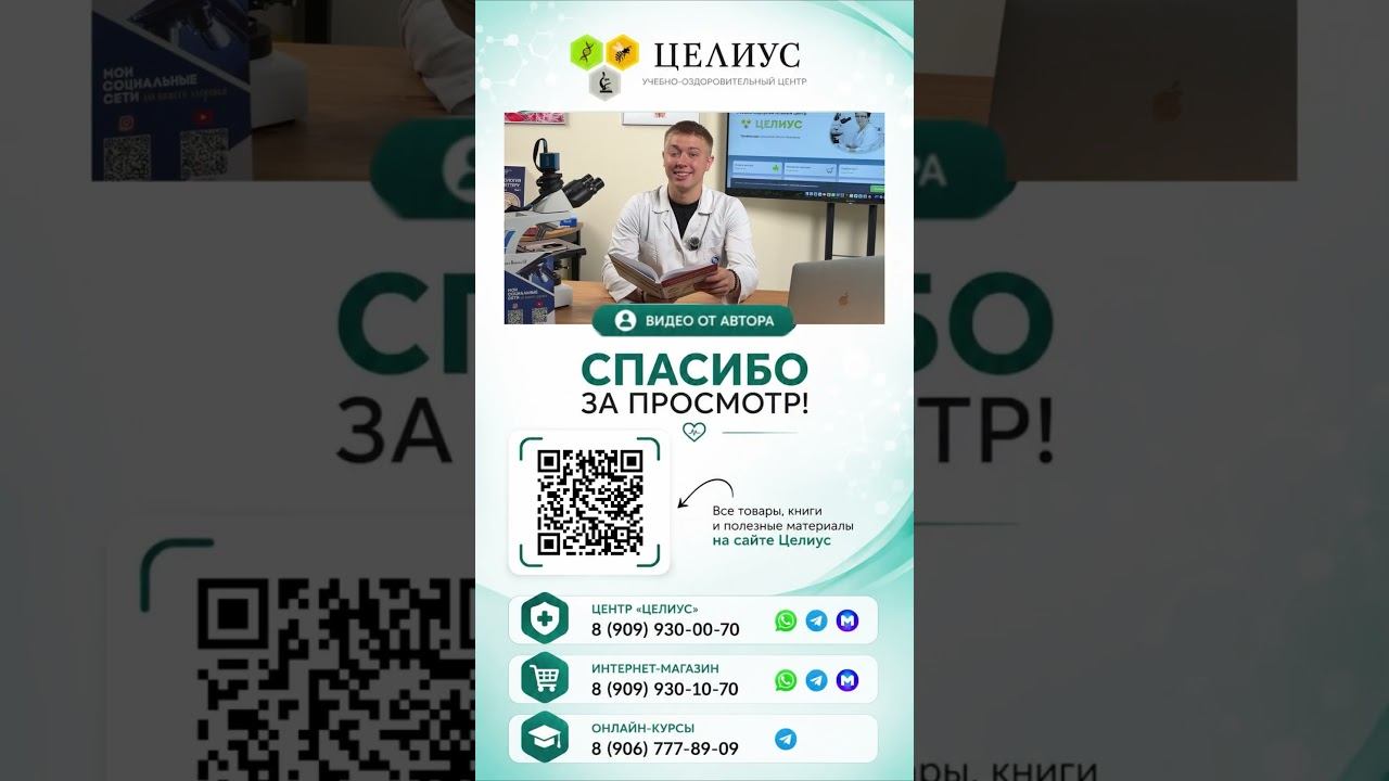 Почему диафрагма — главная мышца здоровья
