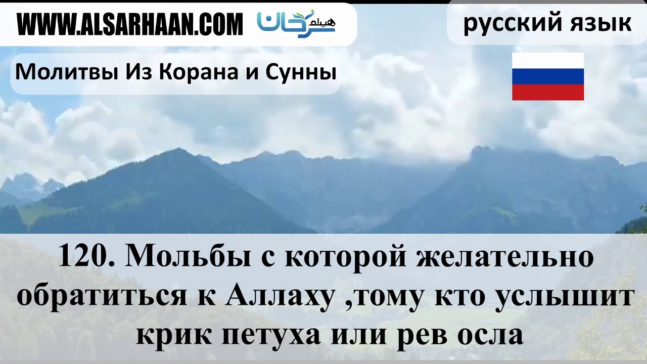 120 Мольбы с которой желательно обратиться к Аллаху ,тому кто услышит крик петуха или рев осла