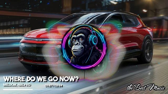 Where Do We Go Now? - Meldom, NALYRO