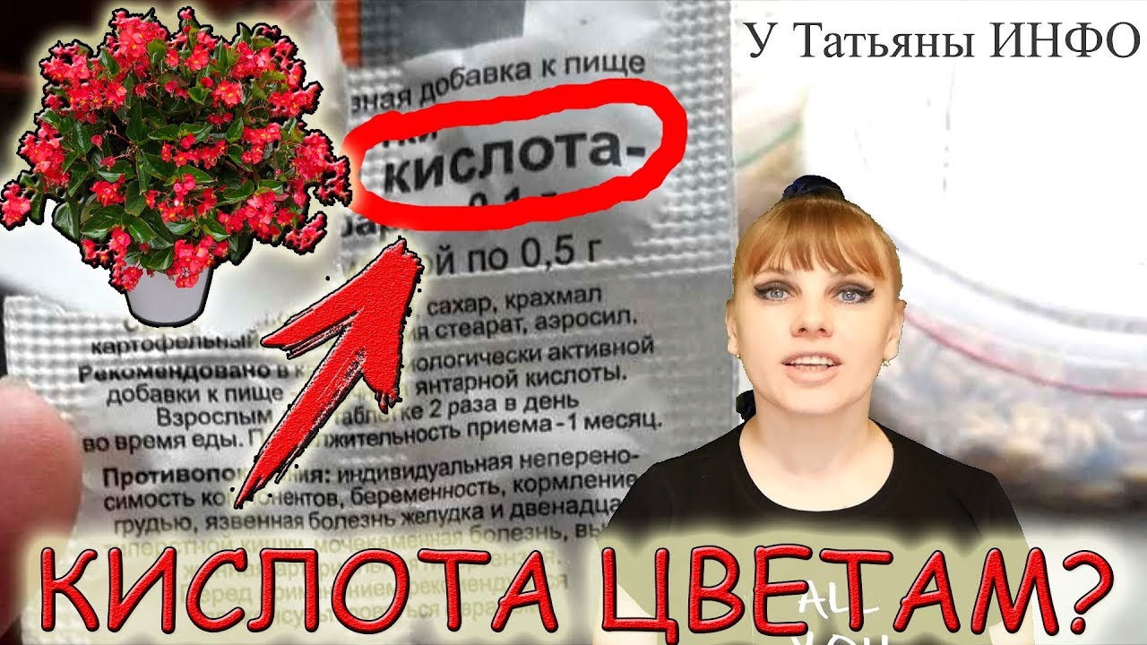 ПОЛЕЙ растение КИСЛОТОЙ и УДИВИСЬ РЕЗУЛЬТАТУ !!!