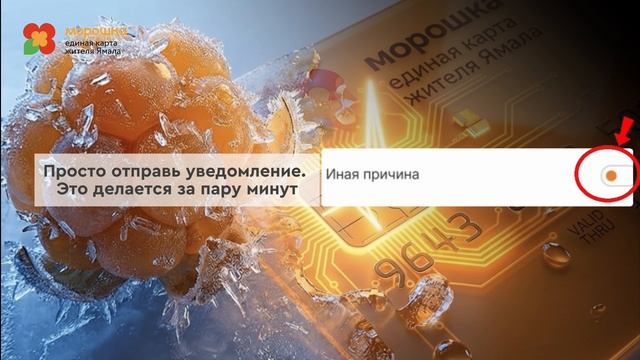 Как сообщить о больничном или отпуске в Морошке