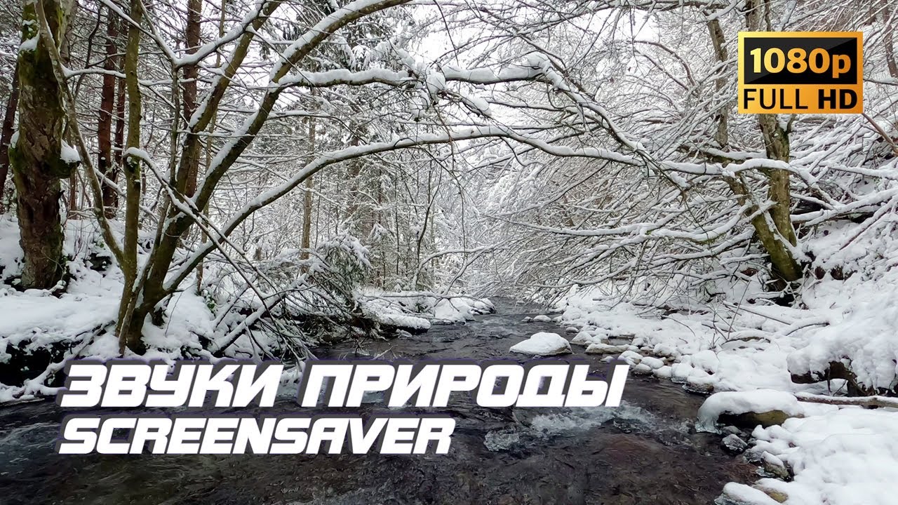 Живая природа - Река | Зима | Звуки природы | Звуки ручья | Шум воды | Релаксация | Снятие стресса