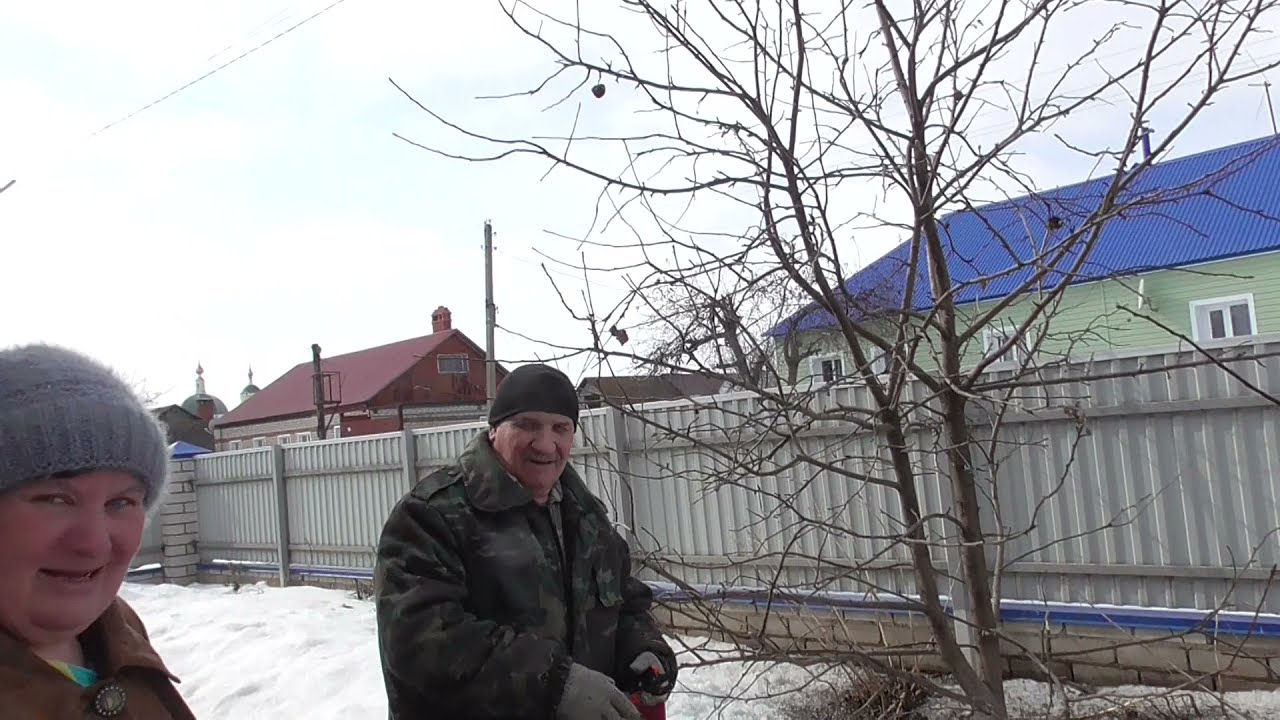 ПЕЧАЛЬНОЕ УТРО Обрезка яблони и Подсыпка рассады