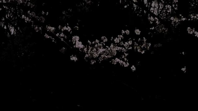 тянка - HANAHAKI (song Lyrics)
