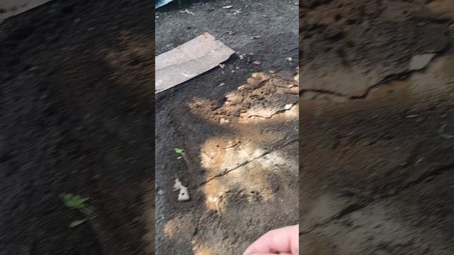 РАСПАКОВКА