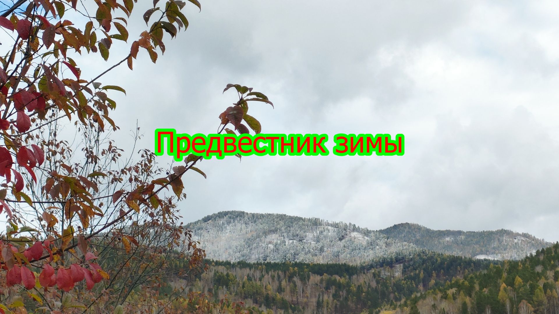 Природа Чикоя.