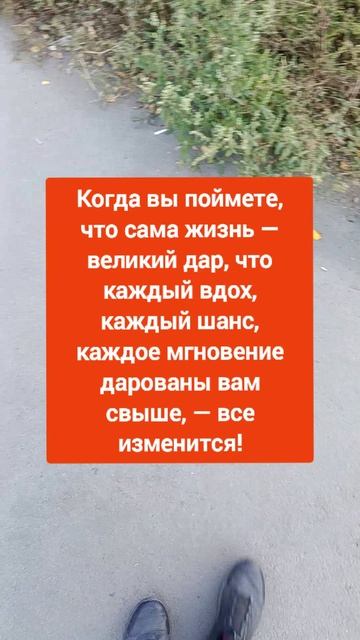 Наша жизнь это великий ДАР! Поймите это