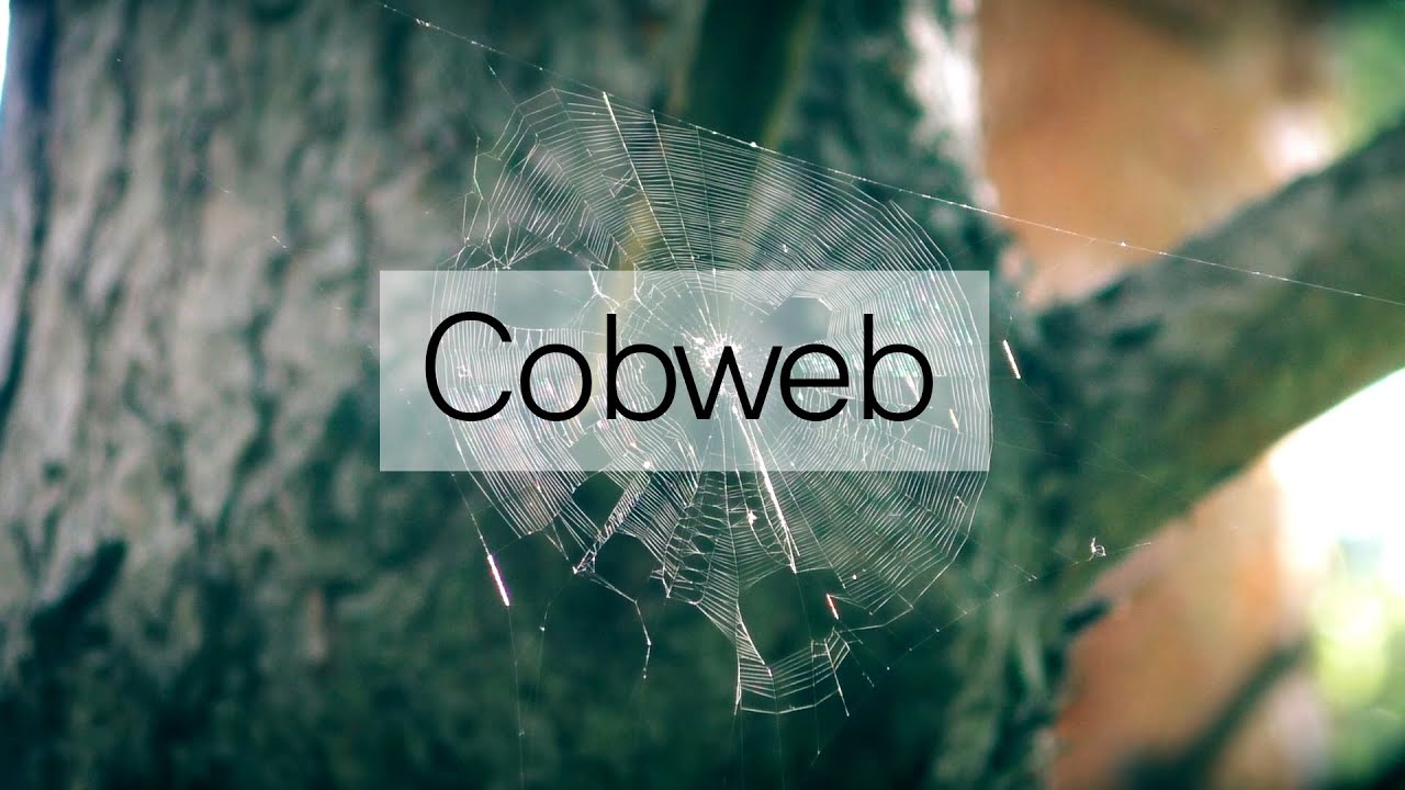 Cobweb / Паутина
