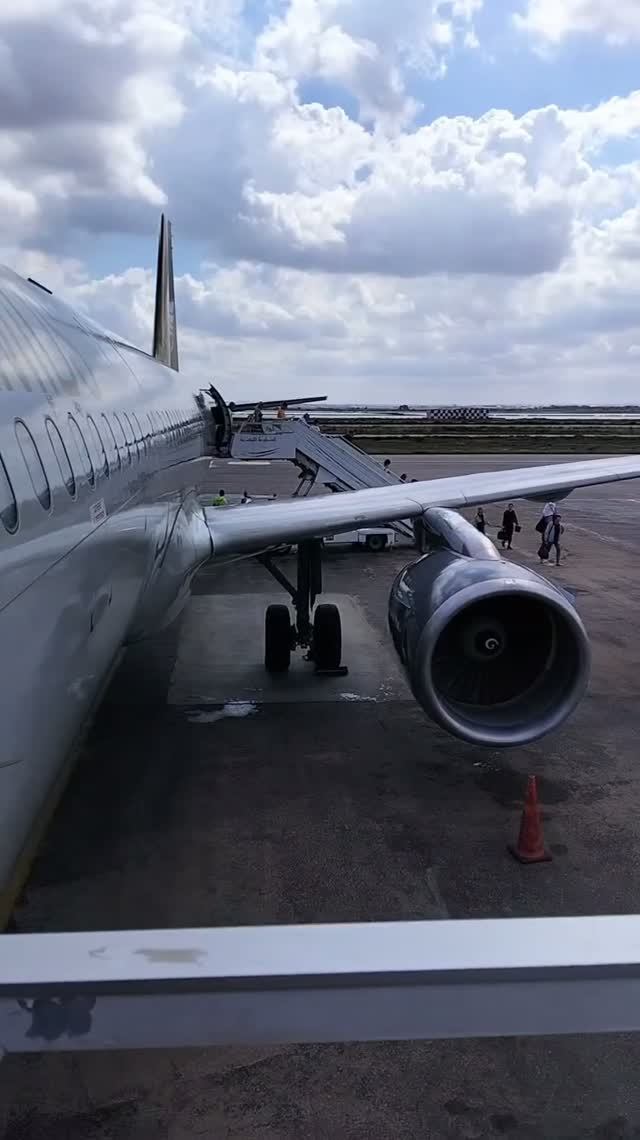 Новые приключения ✈️🐪🦊#ЛёхаЛис