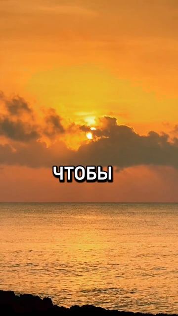 ЭЛИКСИР НОВОГО ДНЯ