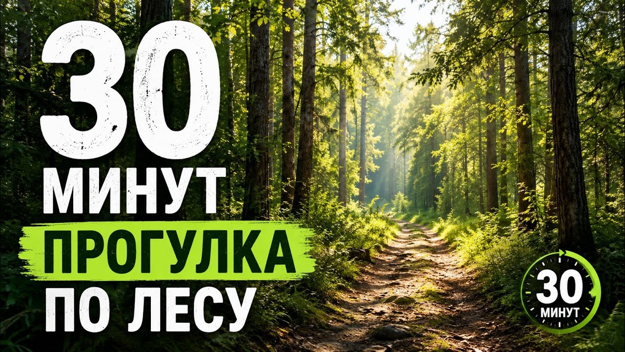🍃 ЛЕС, ТИШИНАИ СПОКОЙСТВИЕ30 МИНУТ RELAX #relax #лес #природа #тишина