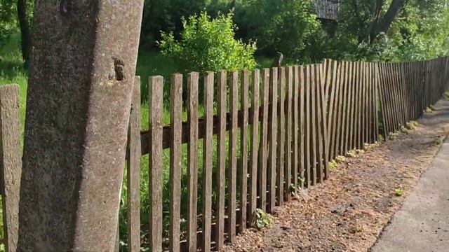 #respect #nature #summer #лето #village #деревня