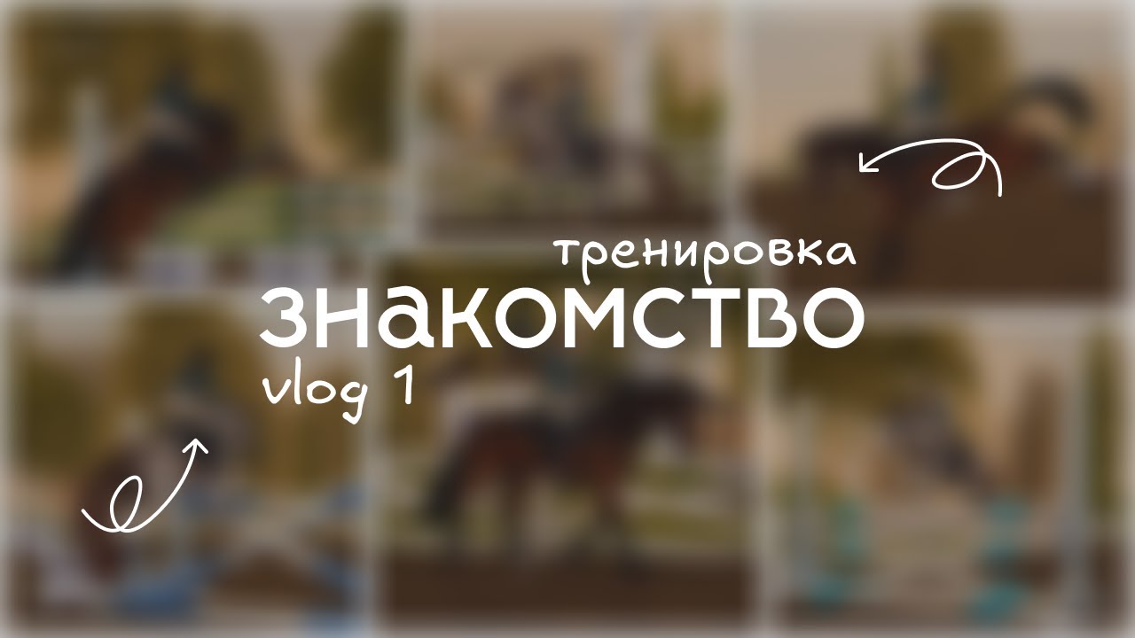 RRP VLOG | ЗНАКОМСТВО | STAR STABLE ONLINE