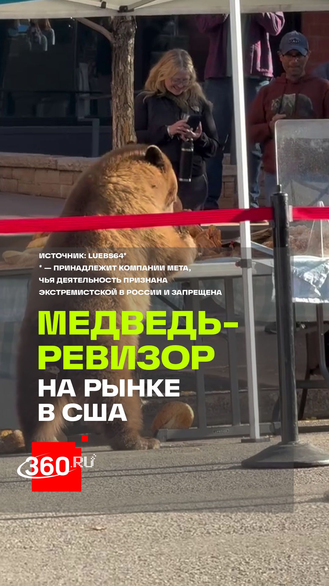 Медведь пробрался на рынок в США