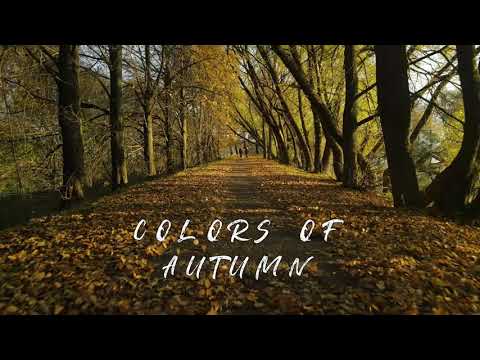 Краски осени [COLORS OF AUTUMN] [4k]