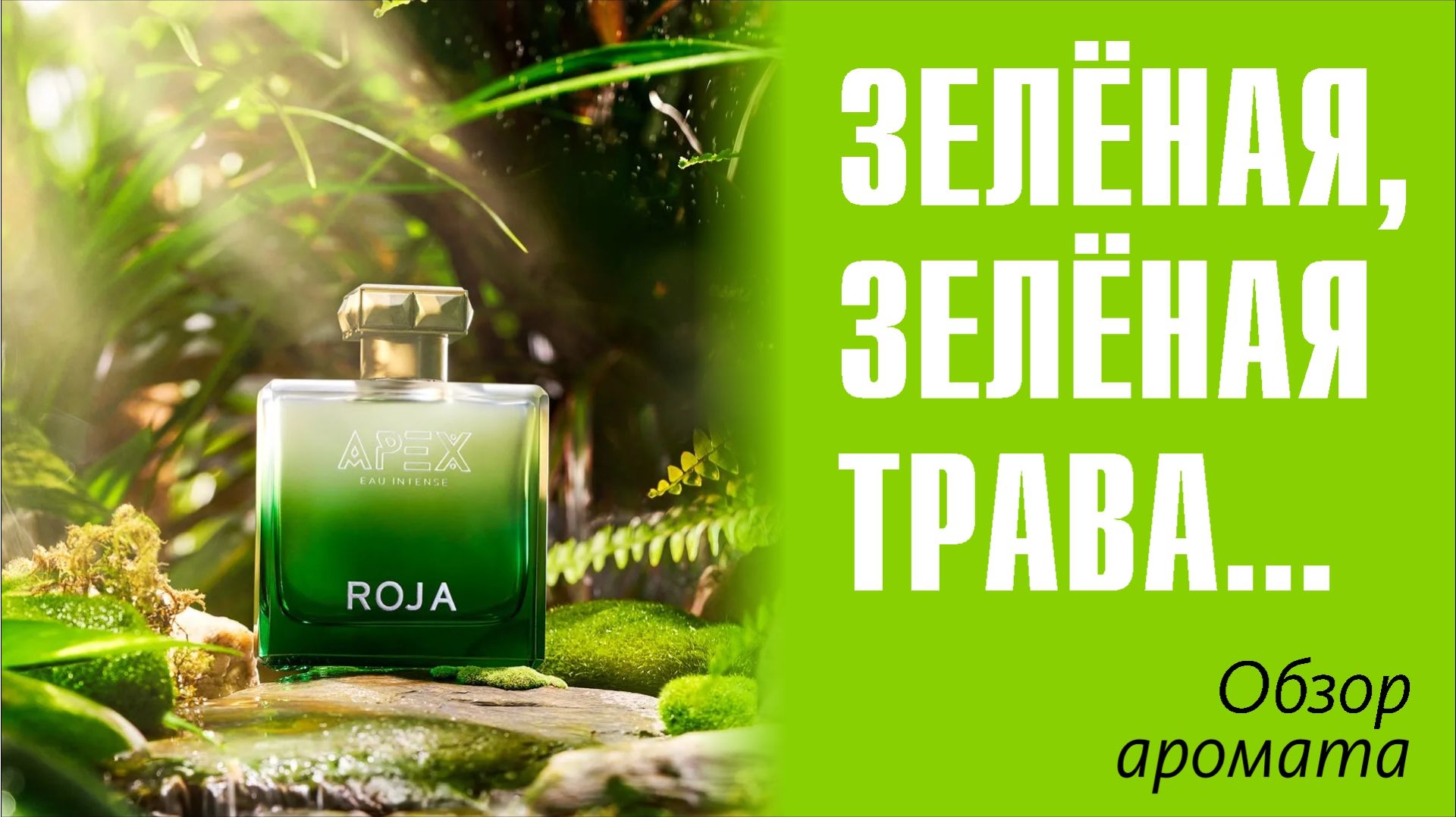ДУРМАН-ТРАВА ОХМУРЯЮЩАЯ: Apex Eau Intense Roja Dove // ОБЗОР АРОМАТА // Fragrance Review