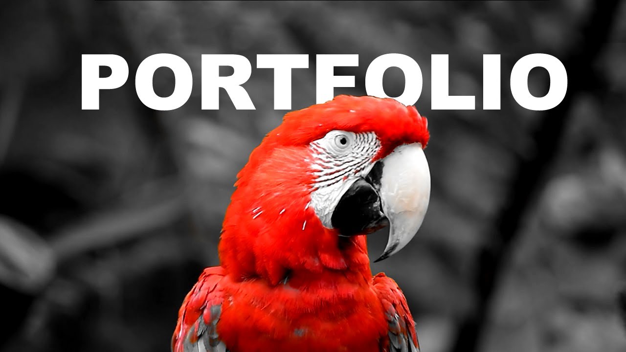 Video Editing Portfolio | Showreel | Портфолио видеомонтаж