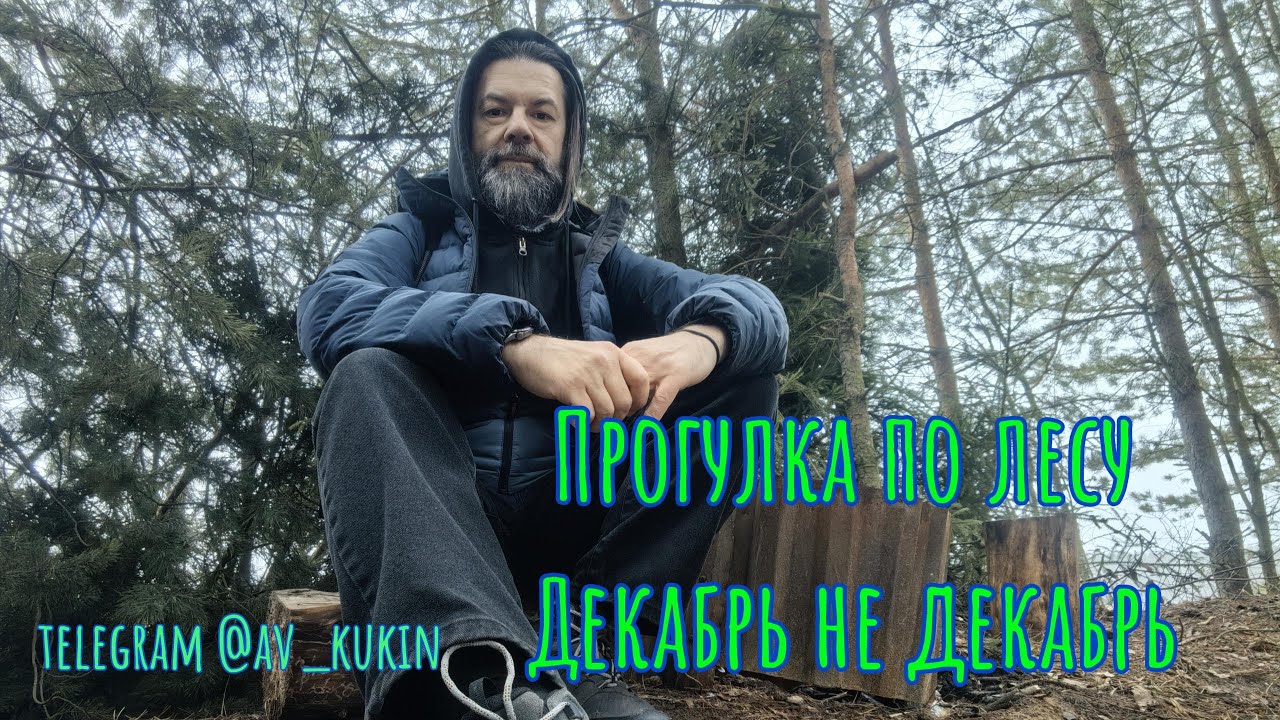 Прогулка по лесу 06.12.25 #кострома #хожупешком #природа #зима #река #лес #природныепейзажи #nature