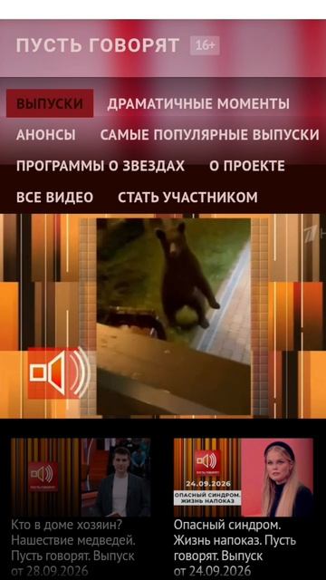 Разгульным медведям нужно объяснить!