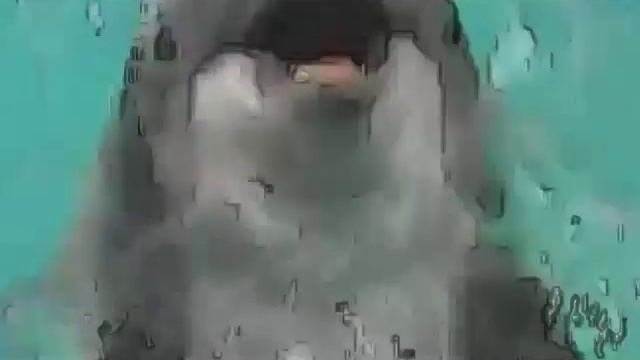 КОМЕДИЯ РОК На берегу Прекрасной Вселенной, Вселенной!))