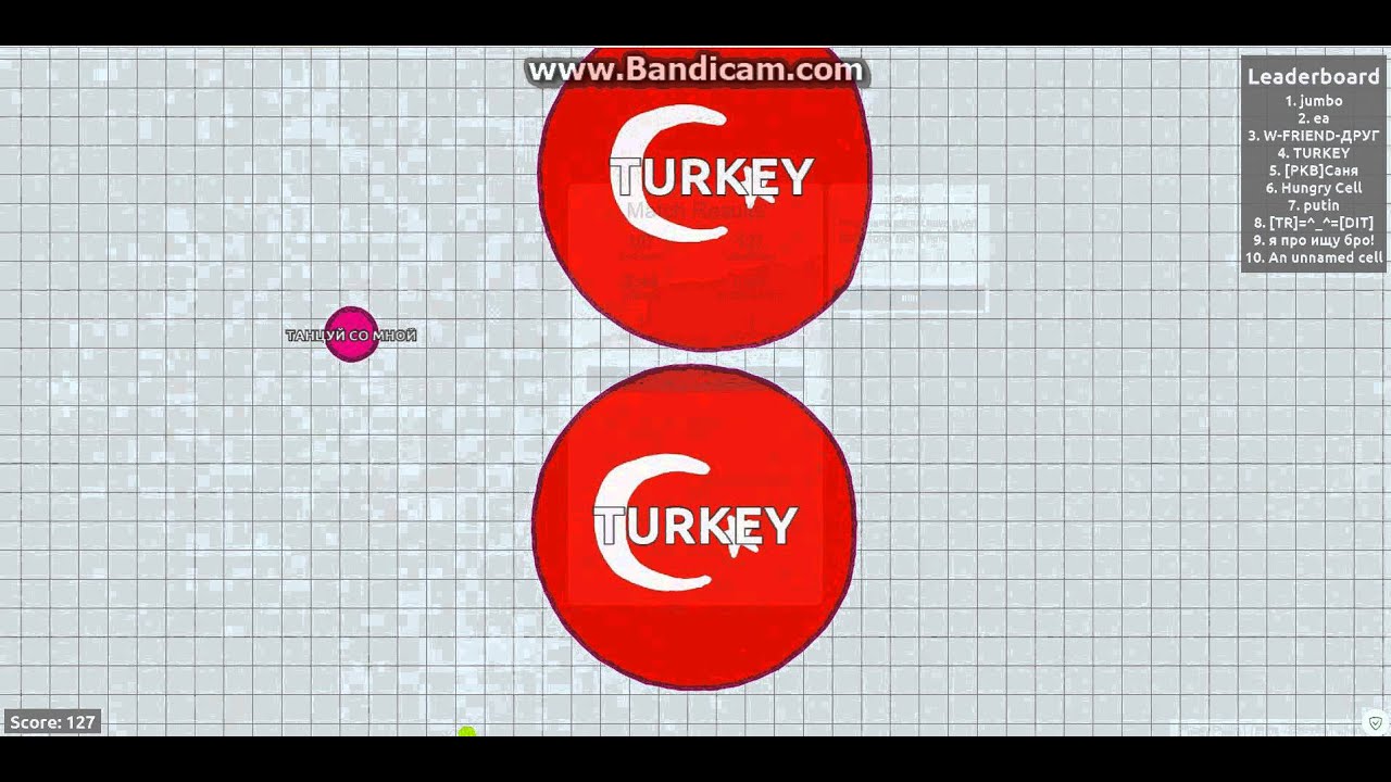 Agr.io необычные игры#1