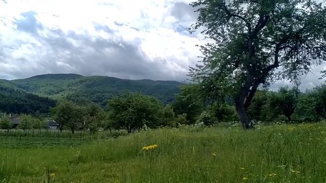 28.05.2022 - Горизонт и небо