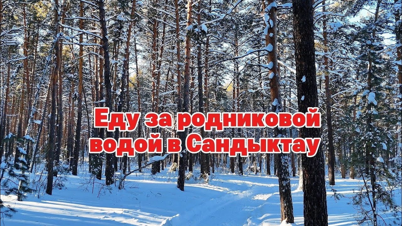 Зимняя сказка в Сандыктау: родник, леса, просторы