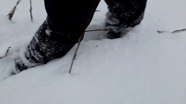 Ходьба по снегу (сугробам) в зимнем лесу или звук шагов (снега) под ногами