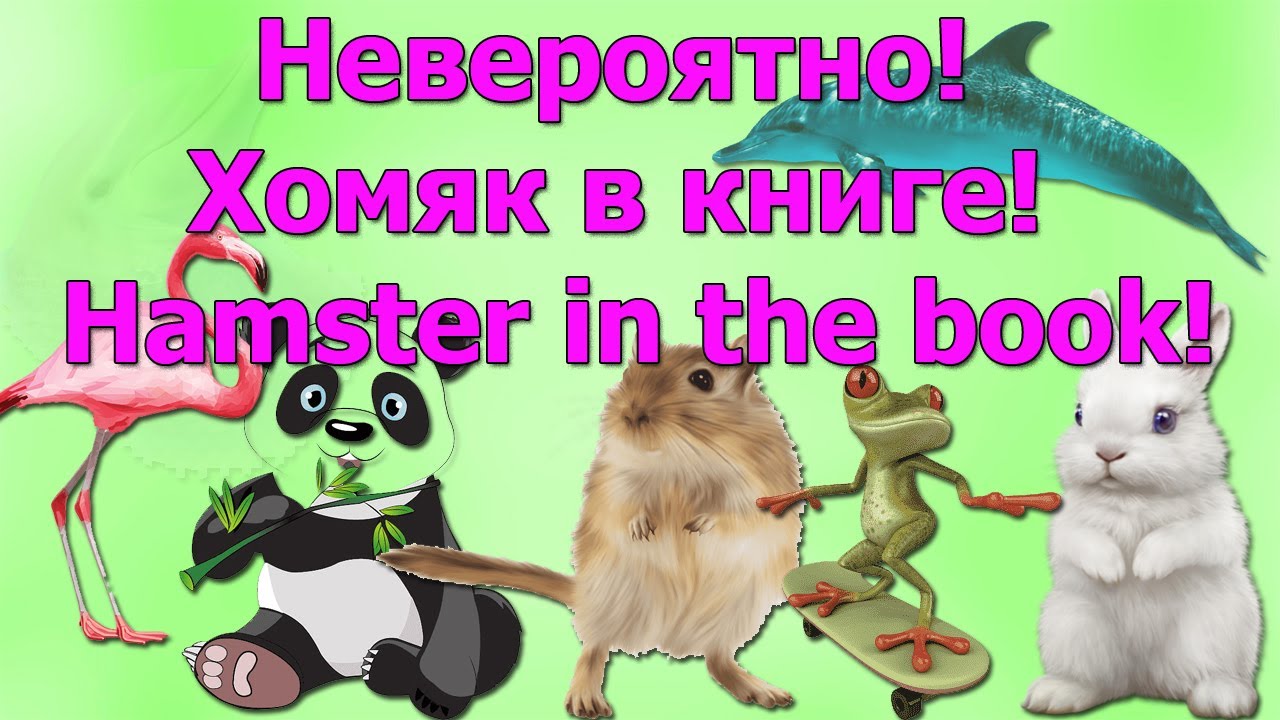 Невероятно! Хомяк в книге! Incredible! Hamster In The Book!