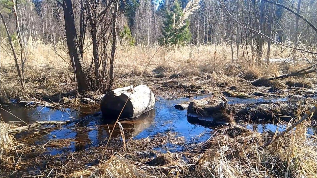 Лесной ручей весной.