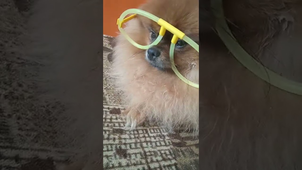 обзор на наши шляпы
