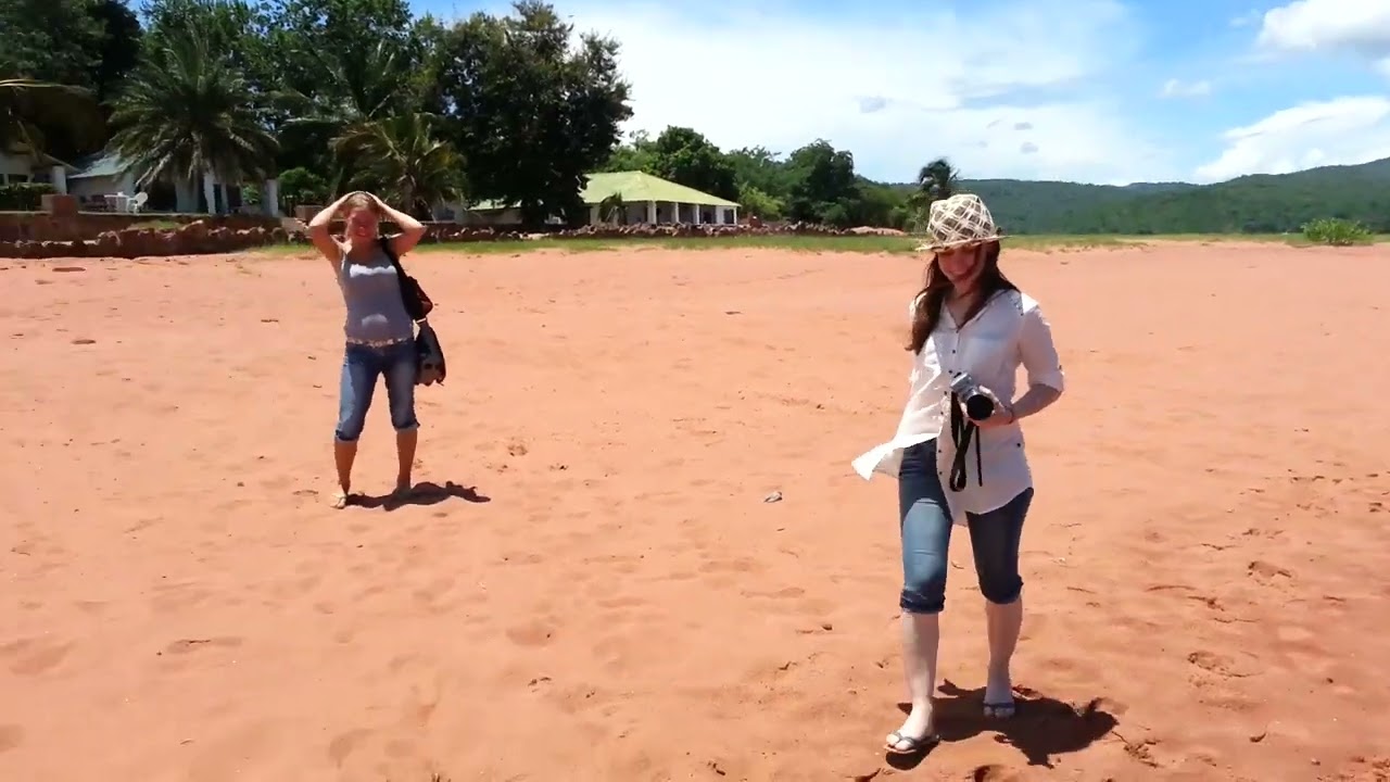 Замбия. Телки