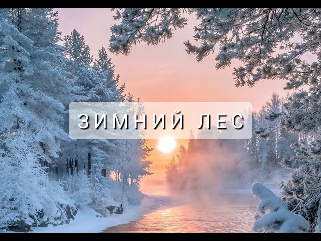 ЗИМНИЙ ЛЕС (Korg Pa600) #лес #зима #вьюга #холод #мороз #снег #снежинки #снегопад #KorgPa600 #ночь