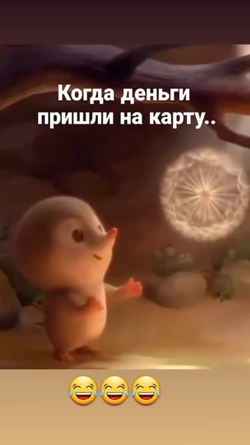 MOV_20260929_070712_785