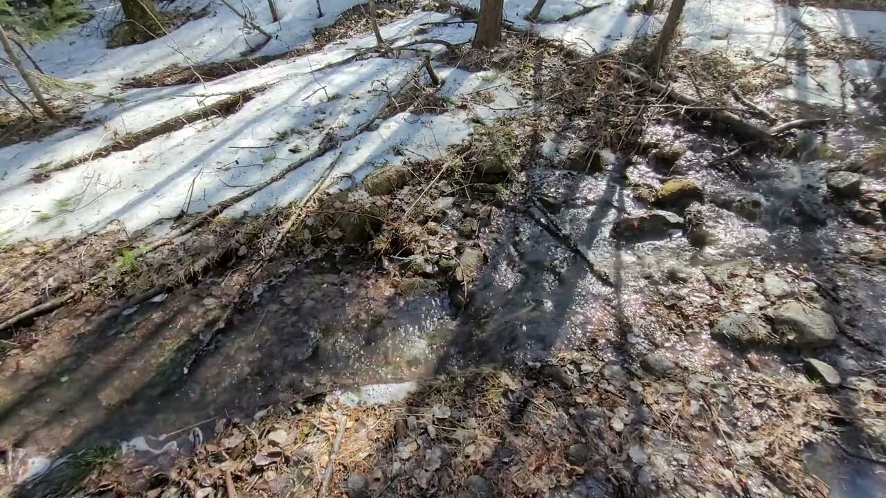 Listen In Headphones. Binaural Recording - Spring Stream Water Sound. Бинауральная запись.